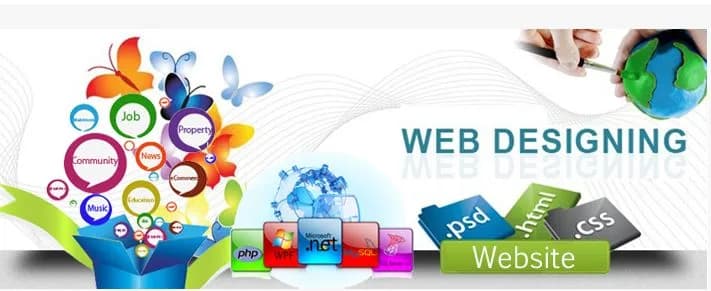 Elevate Your Online Presence with the Best Web Design Company in India